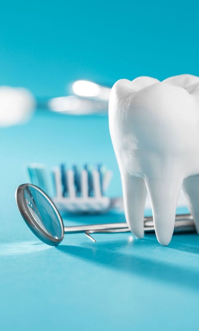 Zahnmodell mit Spiegel und Zahnbürste im Hintergrund